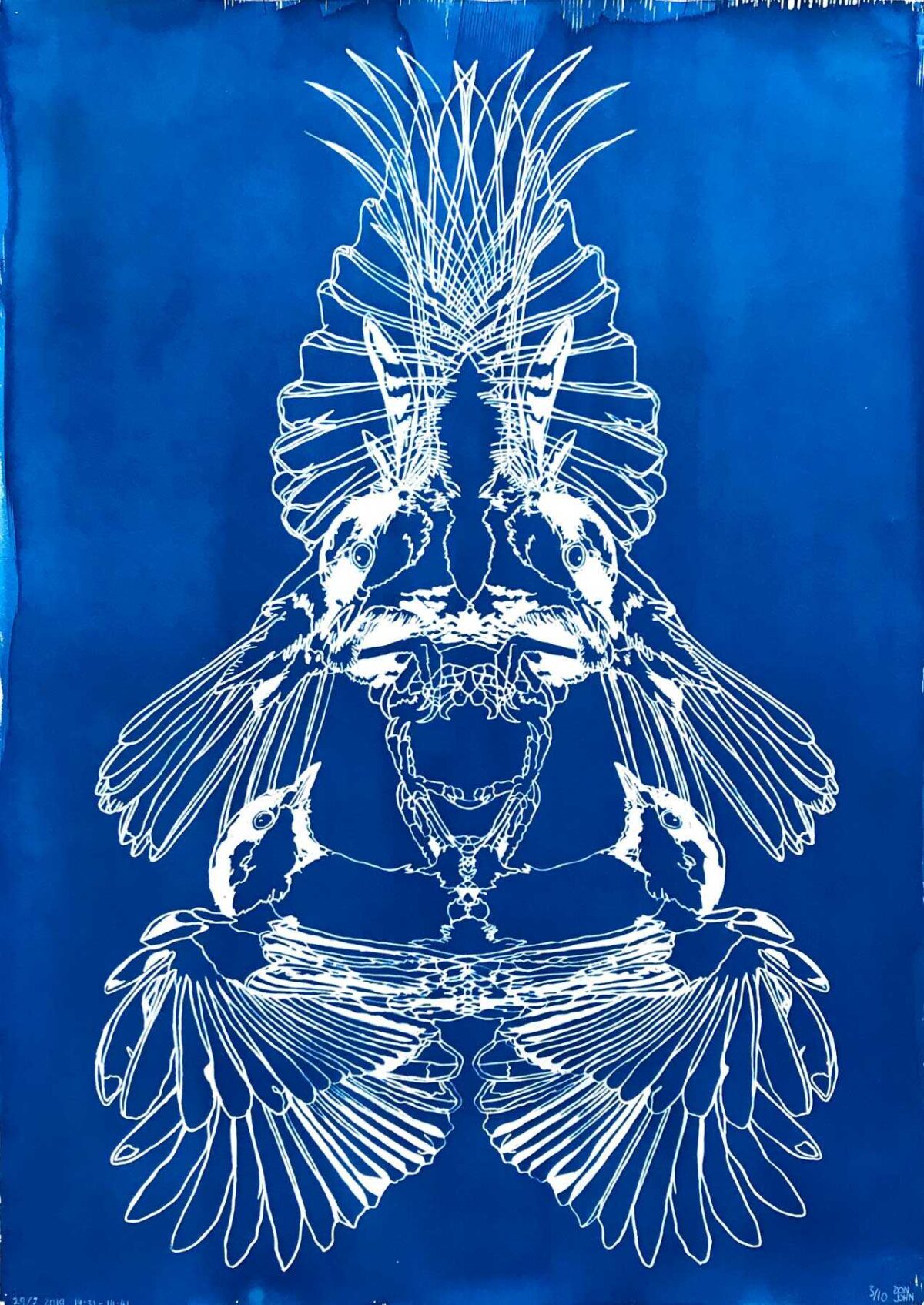 untitled cyanotype01 by don john