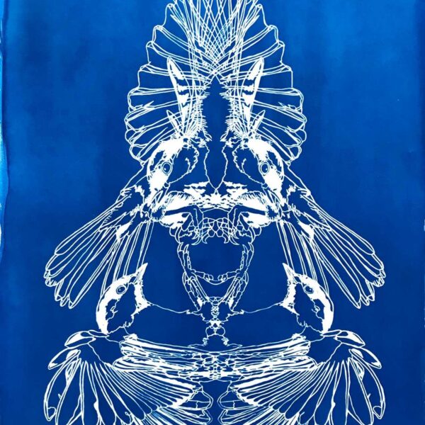 untitled cyanotype01 by don john