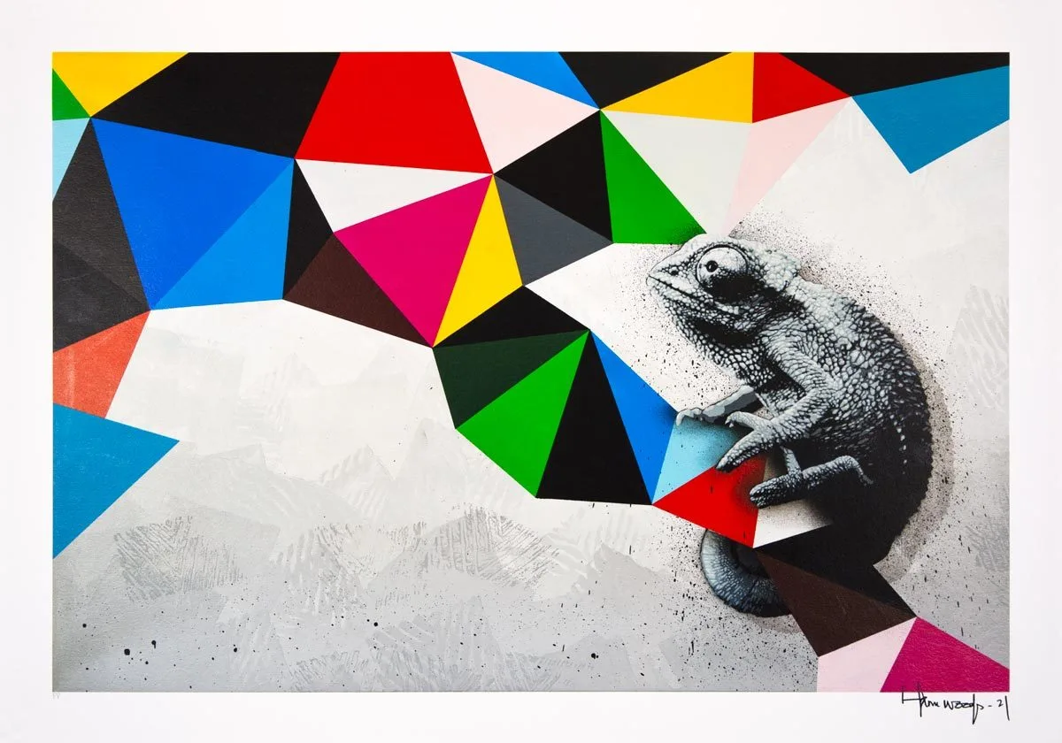chameleon by hama woods